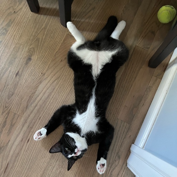 Meet your Posher, Kim - Picture 9 of 10